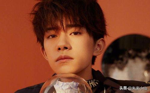 娱乐吃瓜君杨洋,娱乐吃瓜界的风云人物